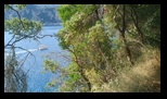 Corfu - Rovinia Beach -27-06-2025 - Bogdan Balaban